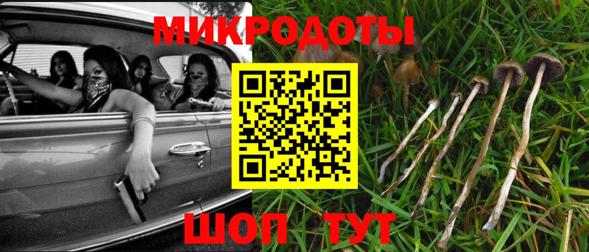 Галлюциногенные грибы Psilocybine cubensis Котельники