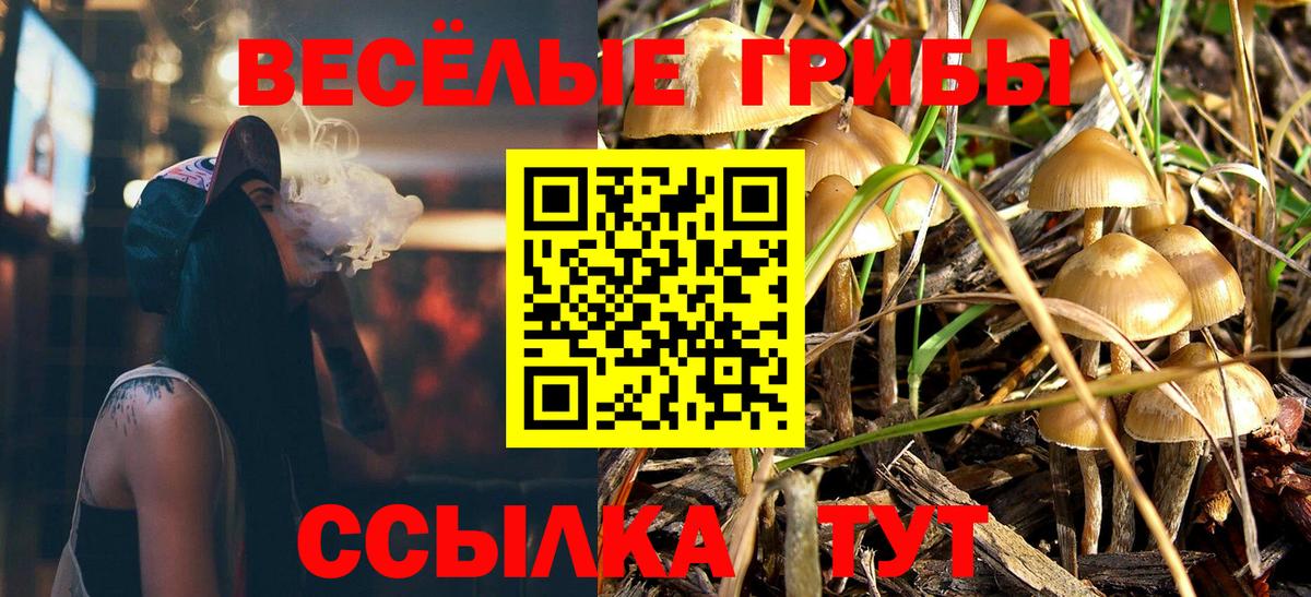 Котельники  Псилоцибиновые грибы прущие грибы  Вход с VPN  Псилоцибиновые грибы Magic Shrooms 